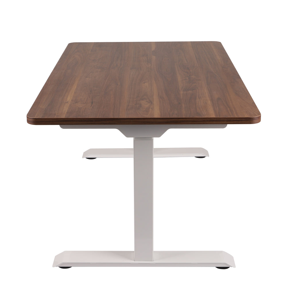 160x80 cm Höhenverstellbarer Schreibtisch mit 25mm einteiliger Tischplatte Saleve Walnut, elektrisch, Weißes Gestell