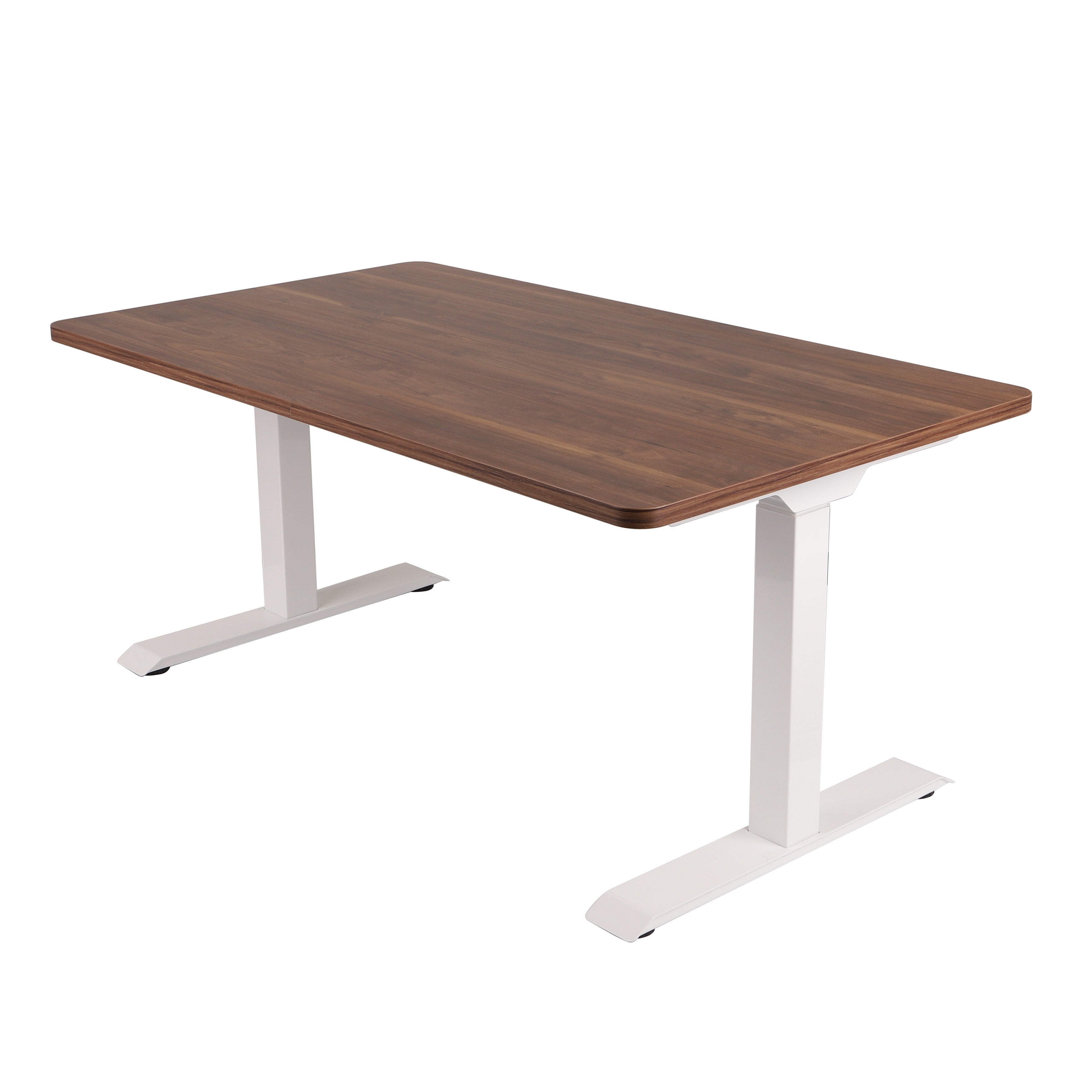 160x80 cm Höhenverstellbarer Schreibtisch mit 25mm einteiliger Tischplatte Saleve Walnut, elektrisch, Weißes Gestell