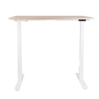 160x80 cm Höhenverstellbarer Schreibtisch mit 25mm einteiliger Tischplatte Sonoma Oak, elektrisch, Weißes Gestell