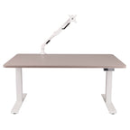 160x80 cm Höhenverstellbarer Schreibtisch mit 25mm einteiliger Tischplatte Toffee, elektrisch, Weißes Gestell
