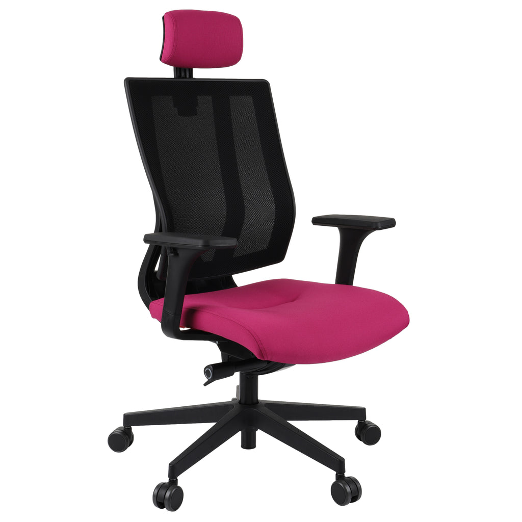 MaxPro Bürostuhl Ergonomisch mit Netz- oder gepolsterter Rückenlehne, SYNCHRO PLUS Mechanismus, Schwarzes Gestell