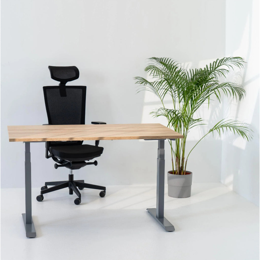 180x80 cm elektrisch Höhenverstellbarer Schreibtisch Unico Line, Graues Gestell Tischplatte American Oak